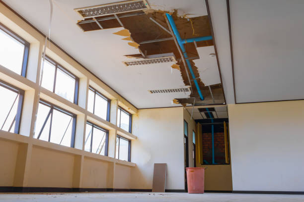 Best 24/7 water damage repair  in New Orleans Station, LA