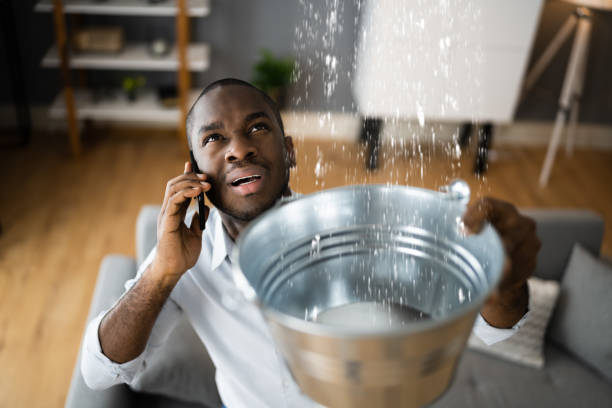 Best Ceiling water damage repair  in New Orleans Station, LA