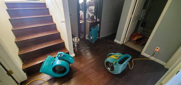 Best Water damage restoration near me  in New Orleans Station, LA
