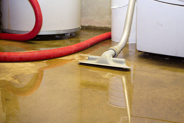 Best Residential water damage restoration  in New Orleans Station, LA