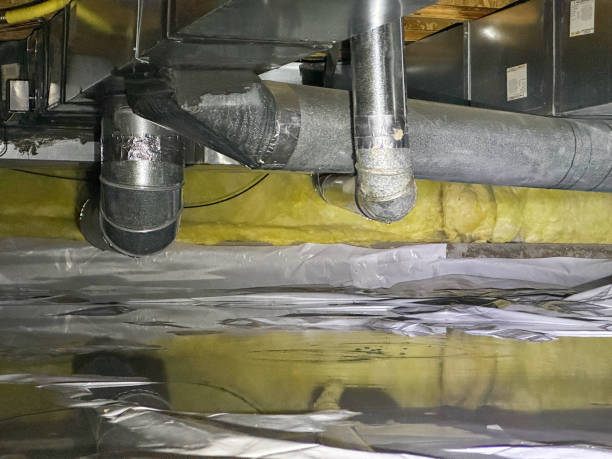 Best Water damage contractors near me  in New Orleans Station, LA