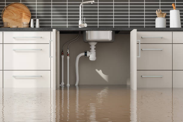 Best Flood restoration services  in New Orleans Station, LA