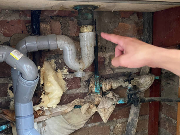 Best Water damage mitigation services  in New Orleans Station, LA