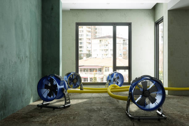 Best 24/7 water damage repair  in New Orleans Station, LA