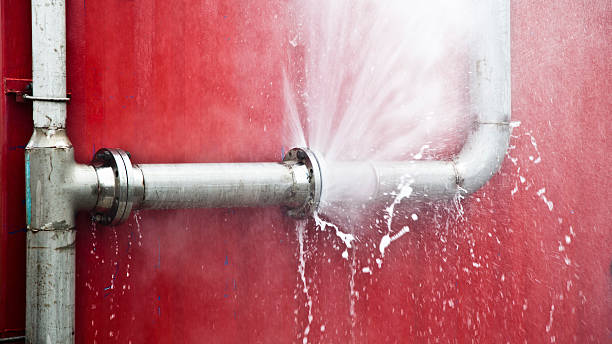 Best Carpet water damage restoration  in New Orleans Station, LA